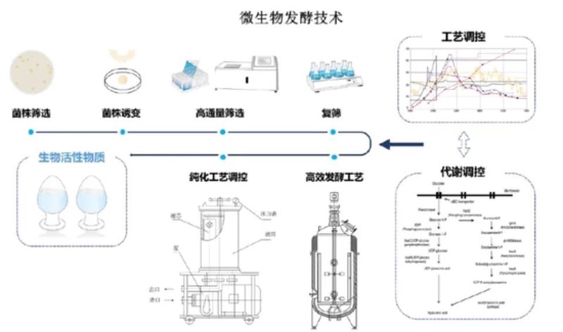 湛江生物科技行业的最新动态与发展趋势