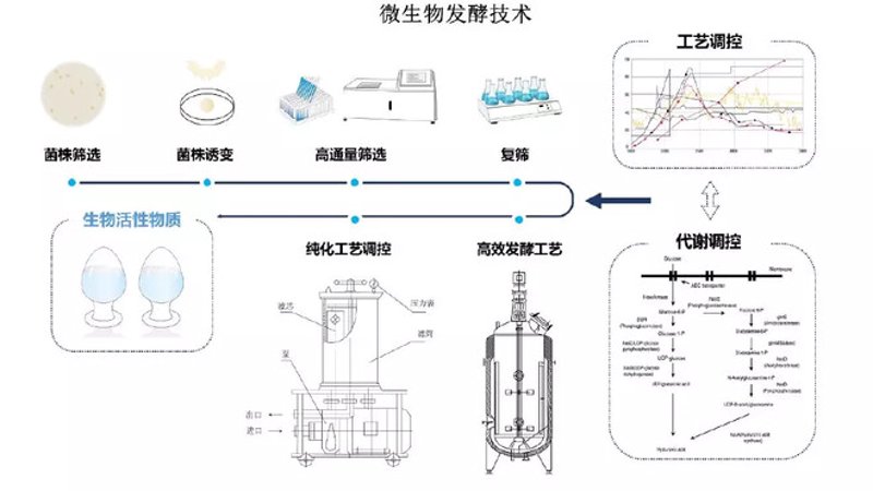 饲料添加剂行业的最新动态