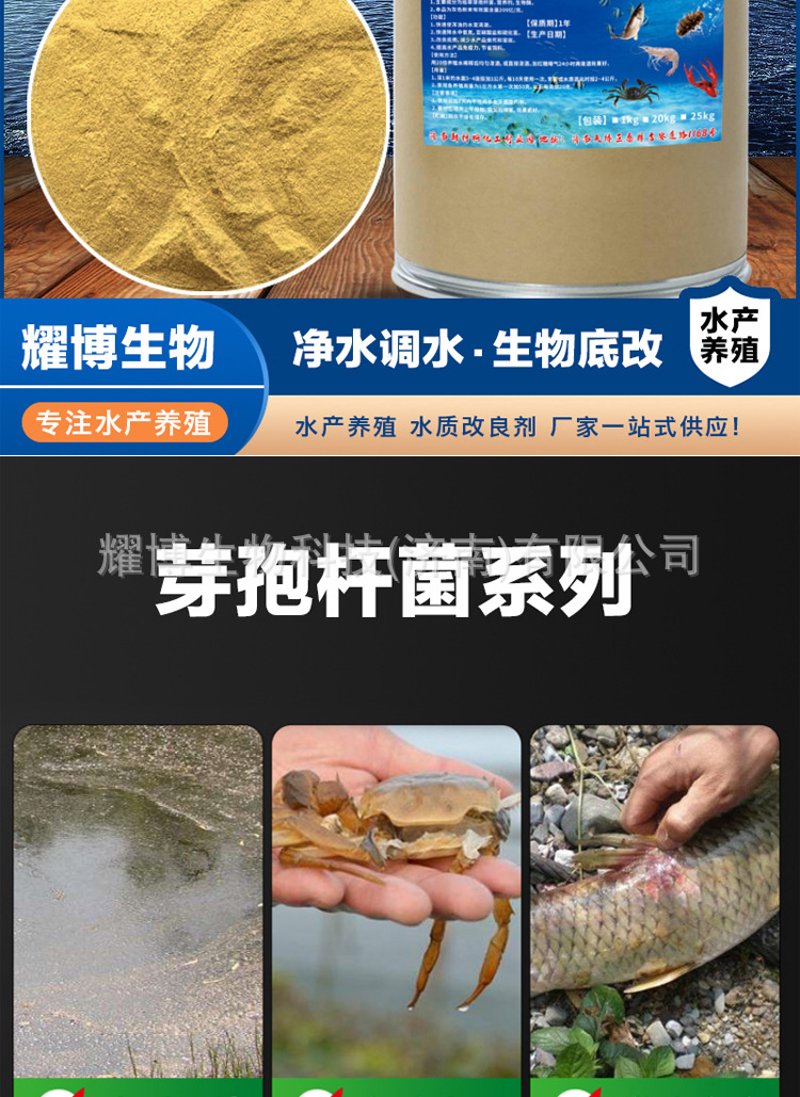 选择微生态制剂的全面指南
