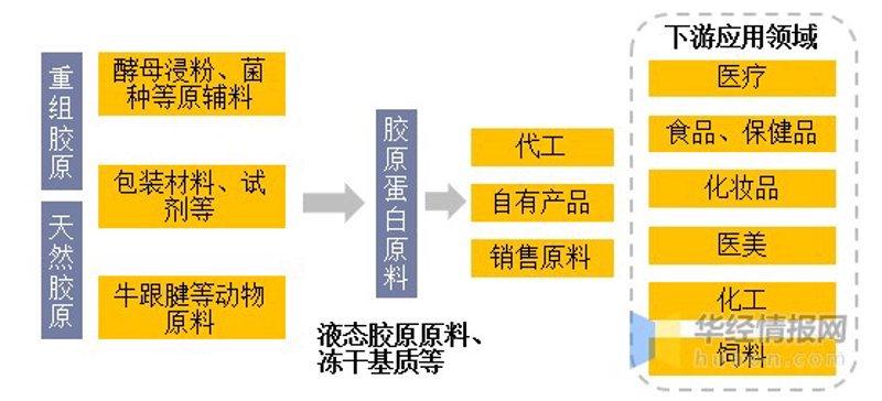 走进湛江生物科技：选购指南