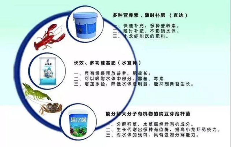 科技与绿色共舞：湛江生物科技行业的最新进展